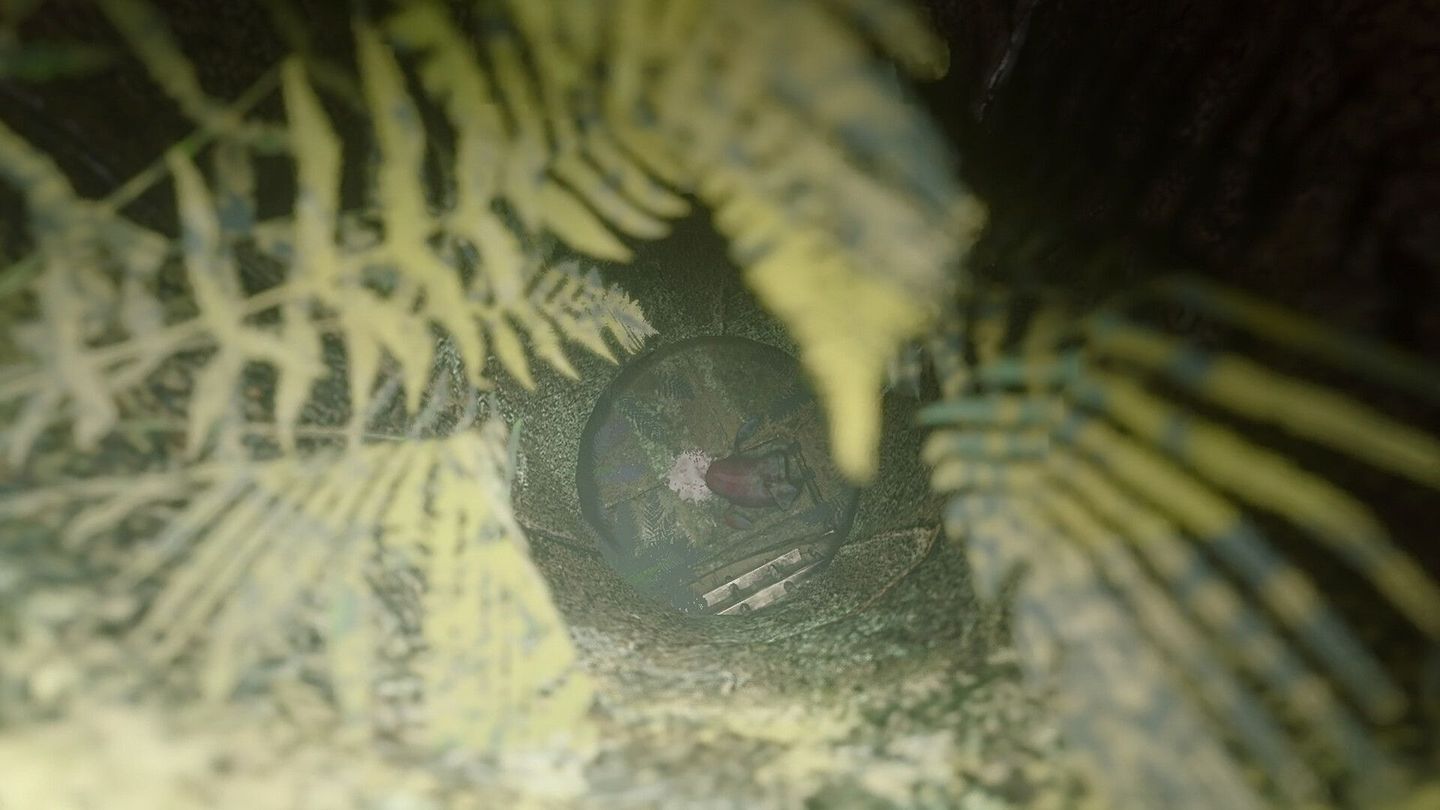 Devoris screenshot 3