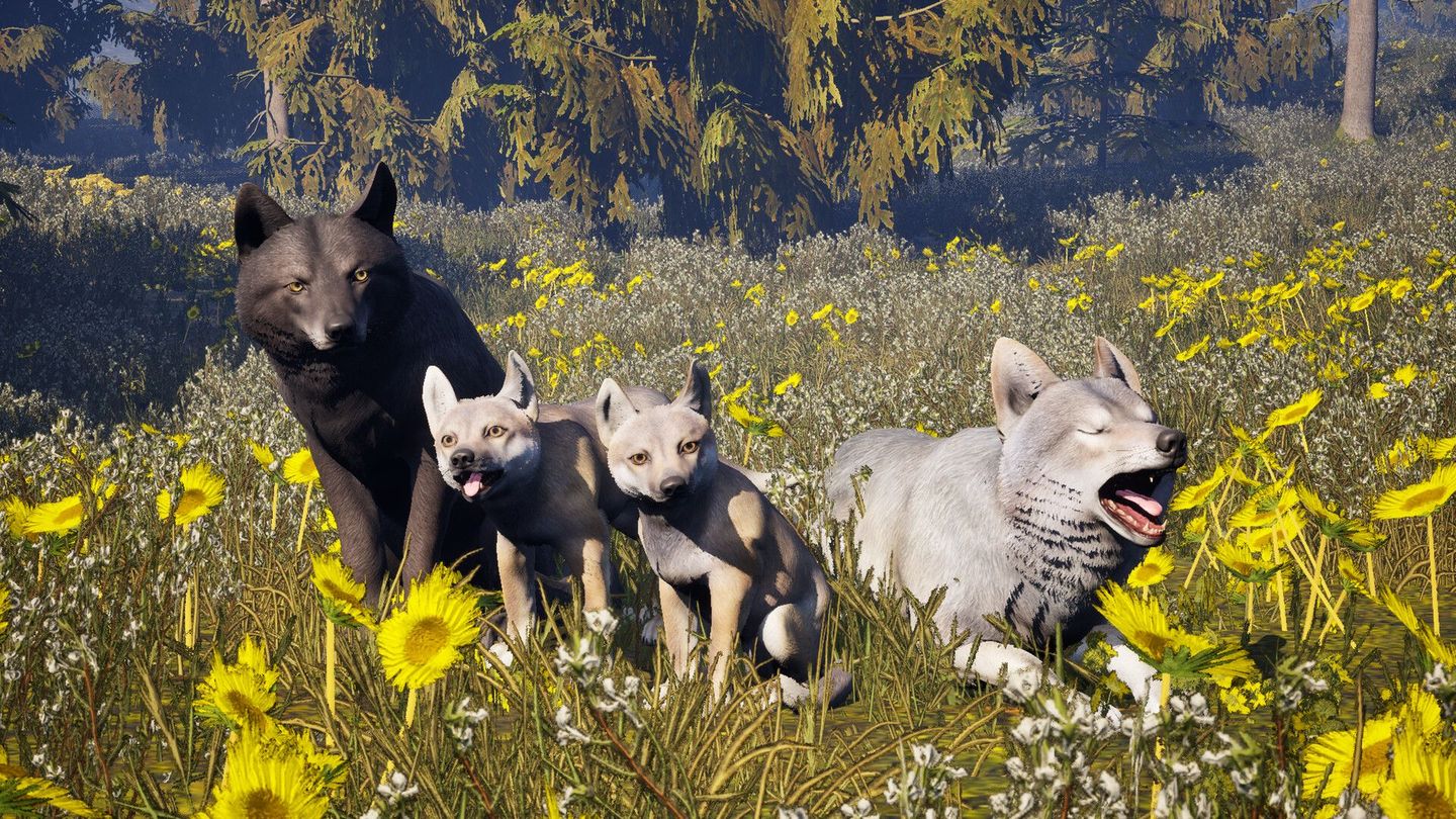Susia - Wolf Life Simulator screenshot 2