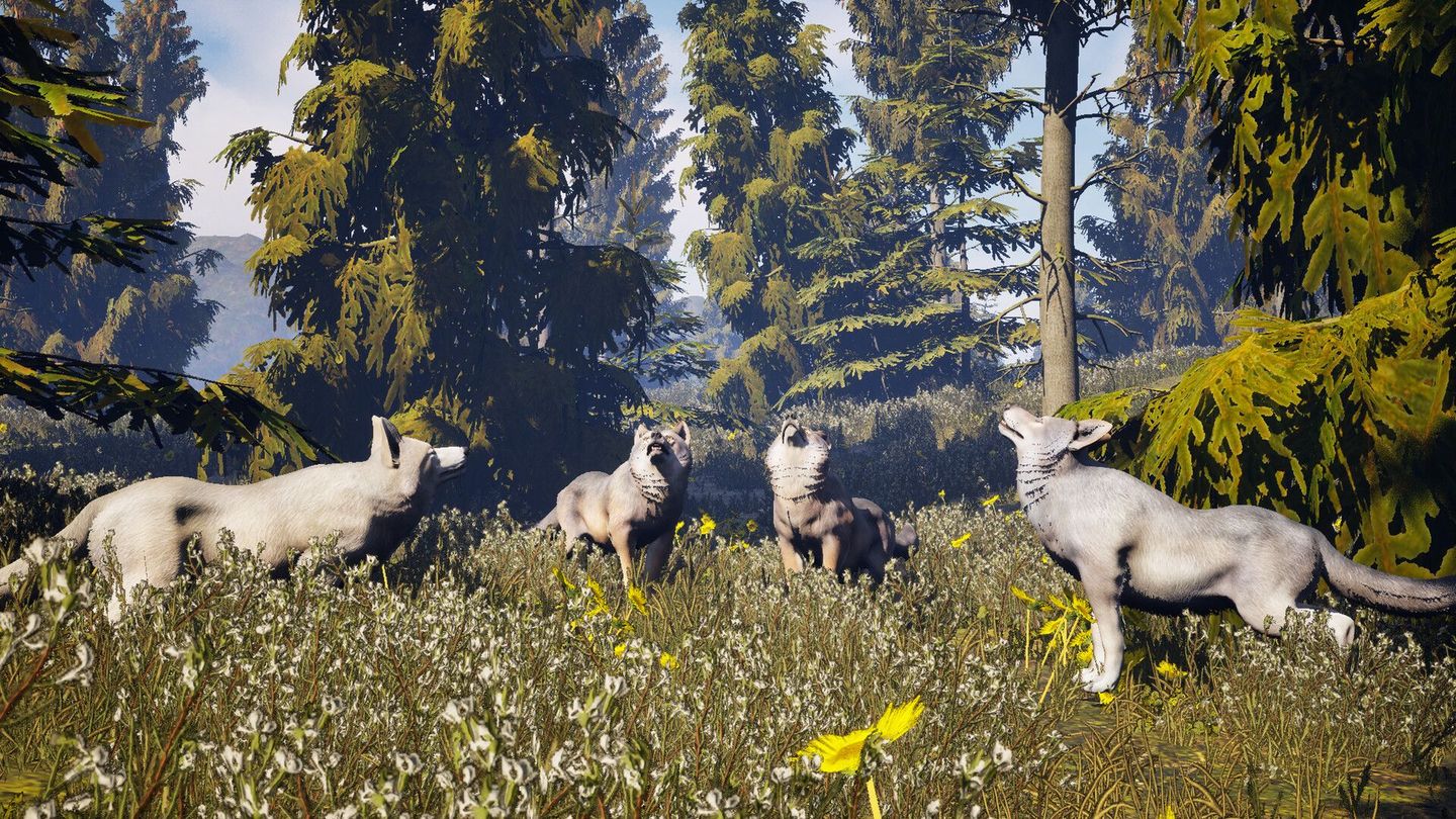 Susia - Wolf Life Simulator screenshot 4